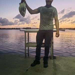 Meet your Posher, Clemente